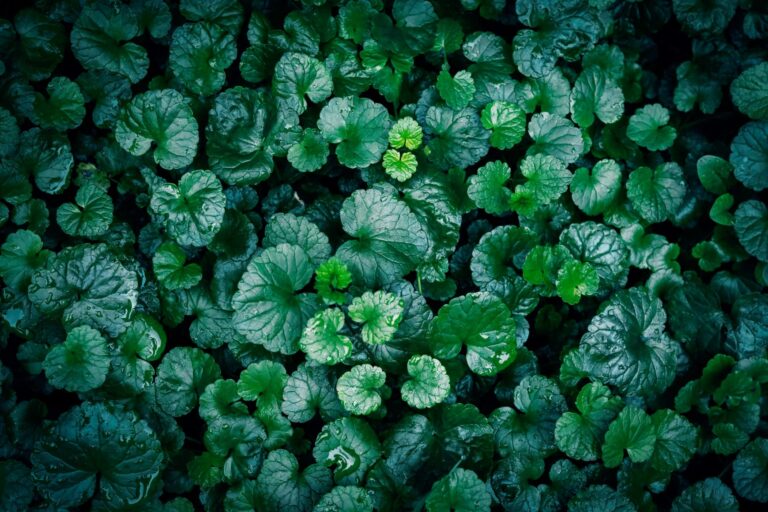 WhatsApp Image 2026-03-02 at 10.38